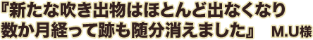 新たな吹き出物はほとんど出なくなり数か月経って跡も随分消えました