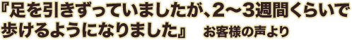 足を引きずっていましたが、2～3週間くらいで歩けるようになりました