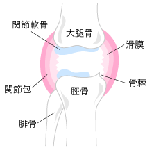 膝