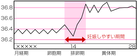 標準タイプ